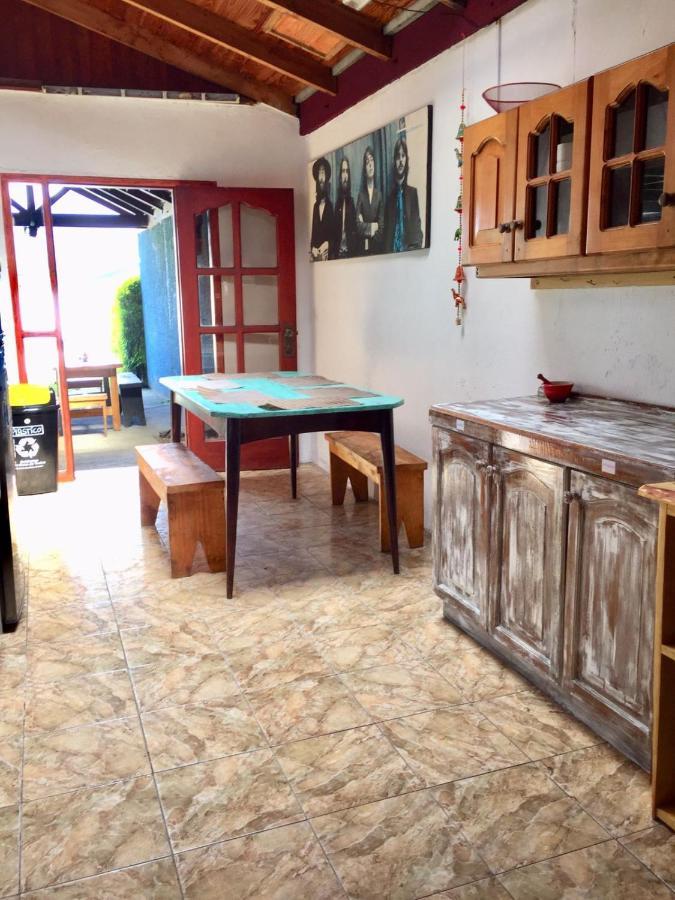 Hostel Raiz Pucón المظهر الخارجي الصورة