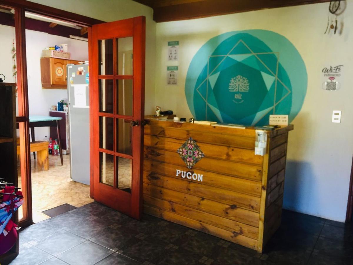 Hostel Raiz Pucón المظهر الخارجي الصورة