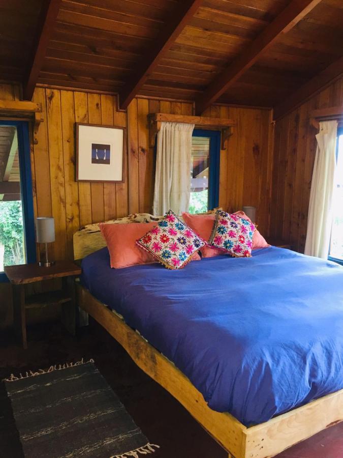 Hostel Raiz Pucón المظهر الخارجي الصورة
