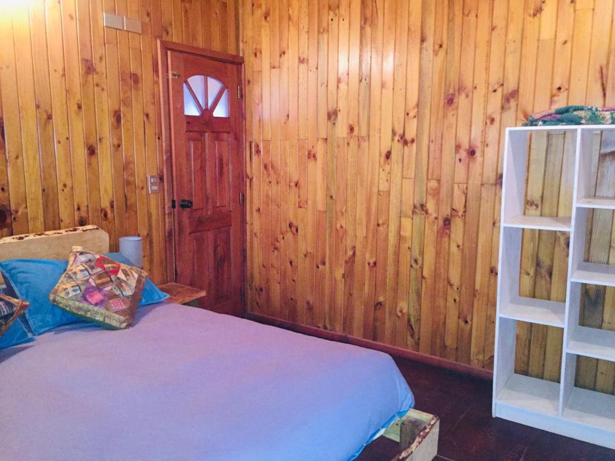 Hostel Raiz Pucón المظهر الخارجي الصورة