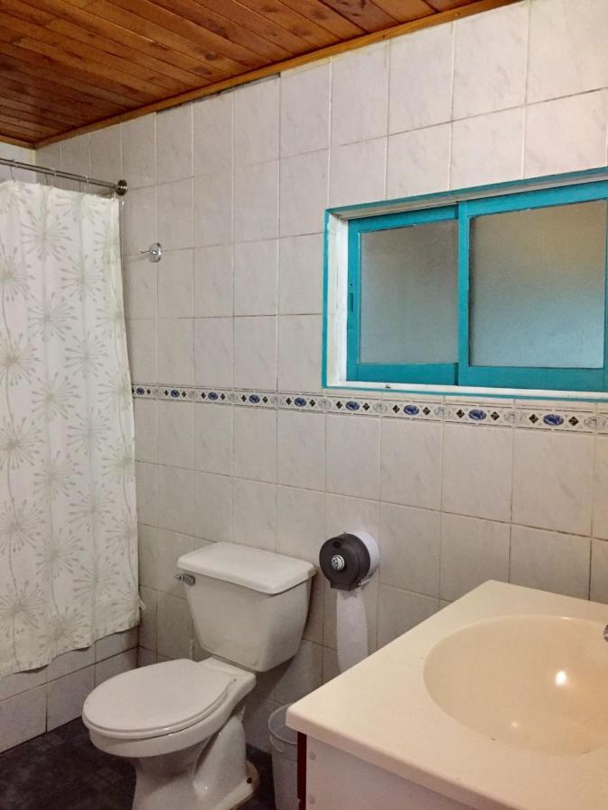 Hostel Raiz Pucón المظهر الخارجي الصورة