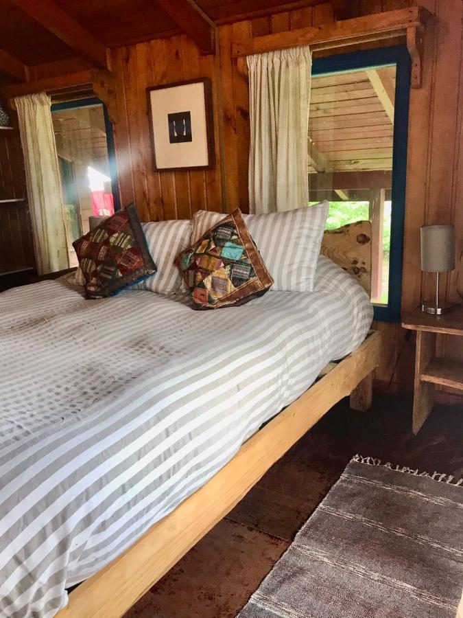 Hostel Raiz Pucón المظهر الخارجي الصورة