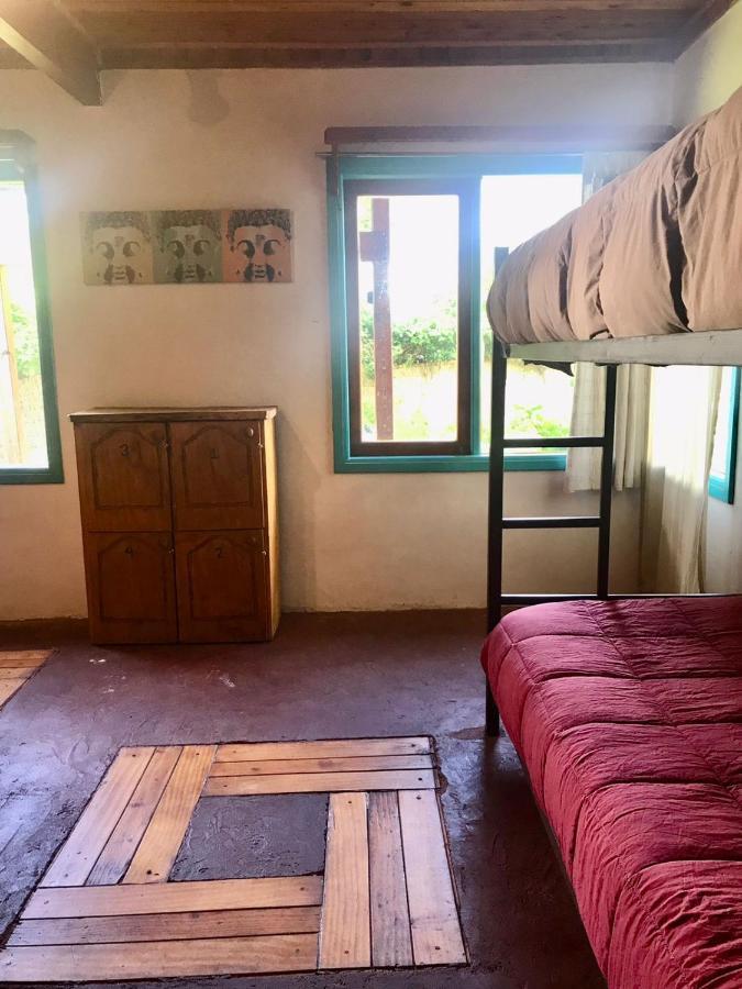 Hostel Raiz Pucón المظهر الخارجي الصورة