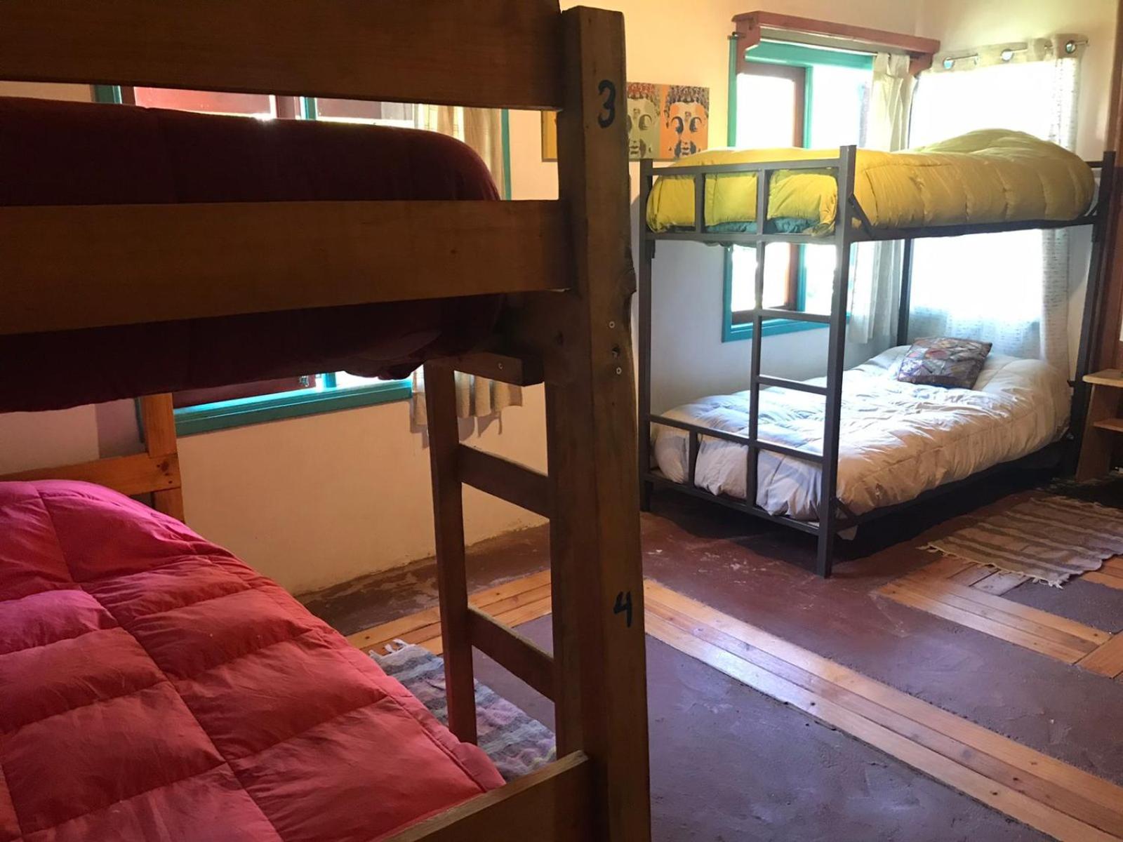 Hostel Raiz Pucón المظهر الخارجي الصورة