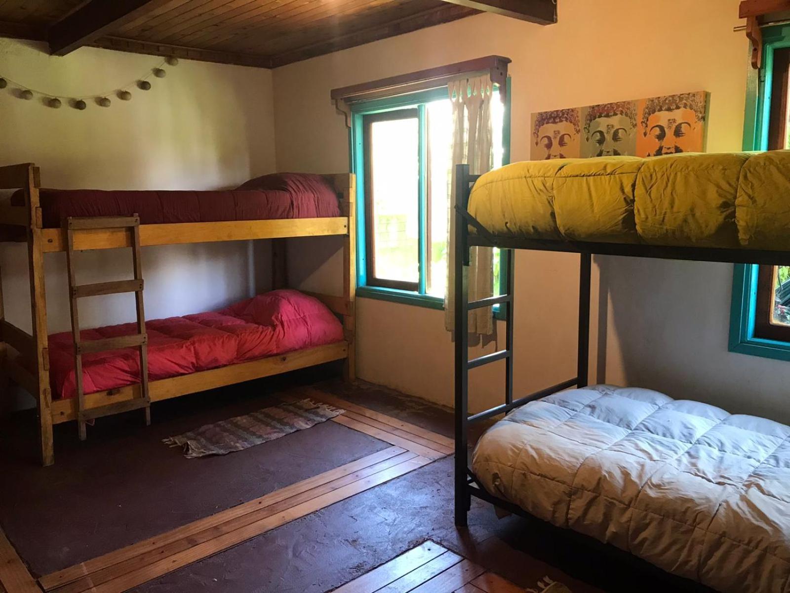 Hostel Raiz Pucón المظهر الخارجي الصورة