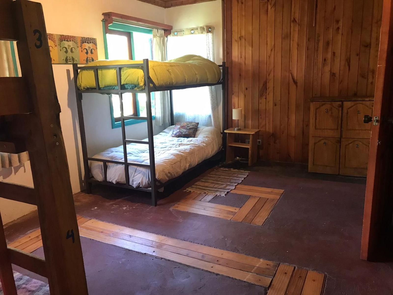 Hostel Raiz Pucón المظهر الخارجي الصورة